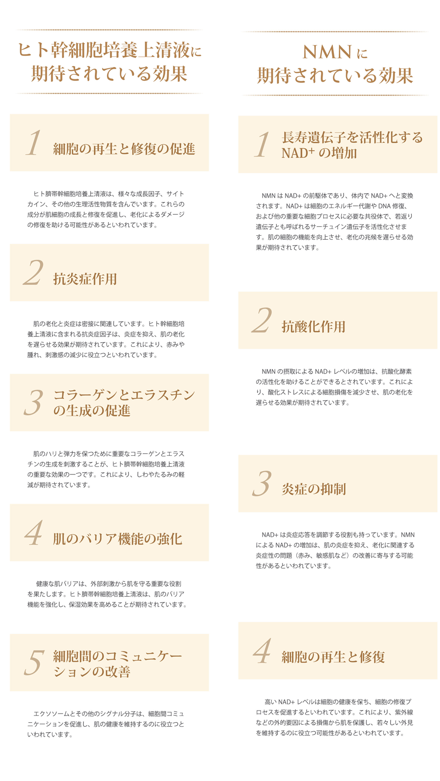 ヒト幹細胞培養上清液とNMNに期待されている効果