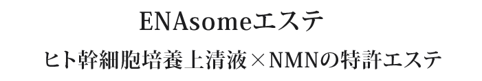ENAsomeエステ　ヒト幹細胞培養上清液×NMNの特許エステ